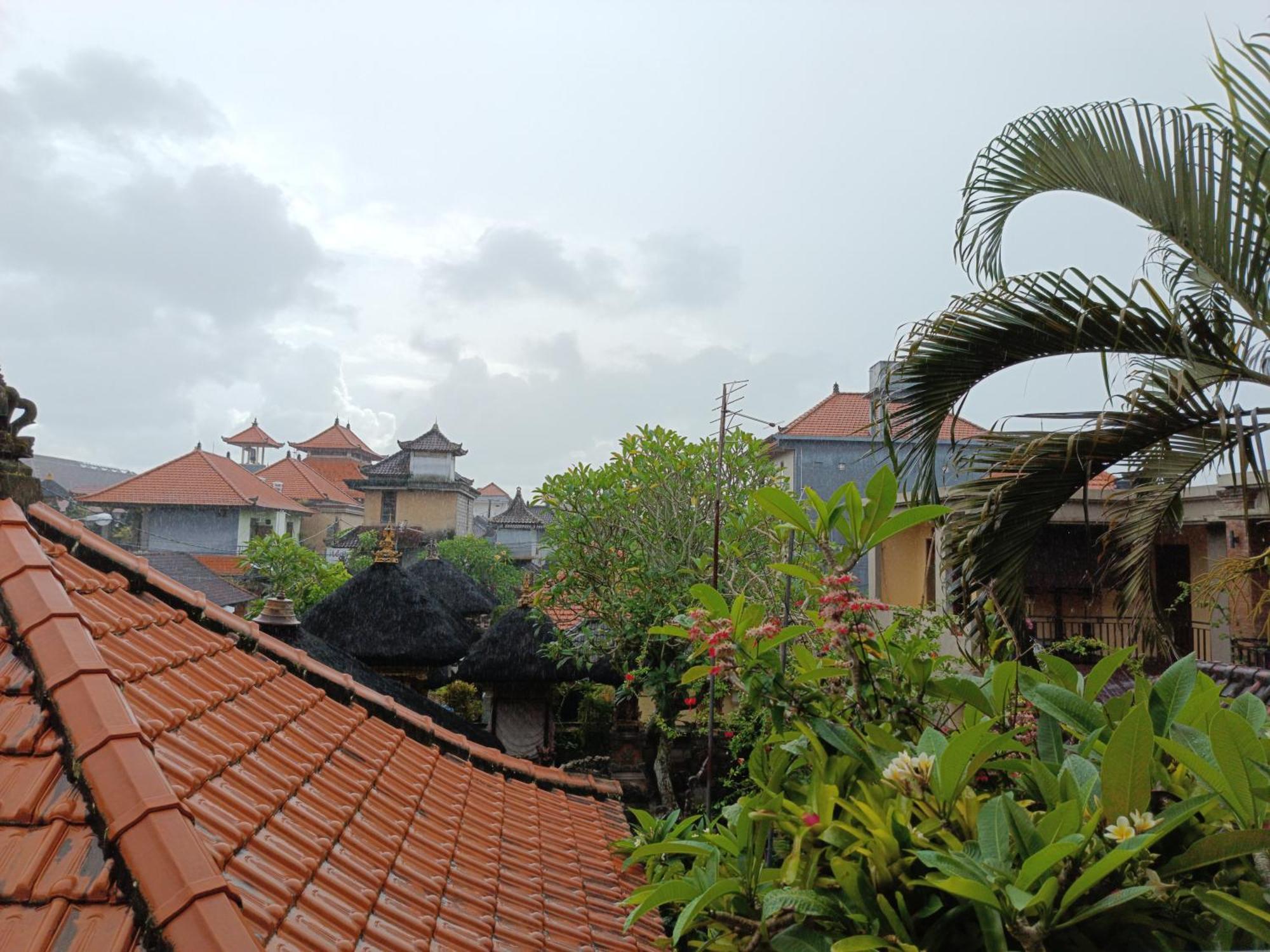 Nyoman House Ubud エクステリア 写真