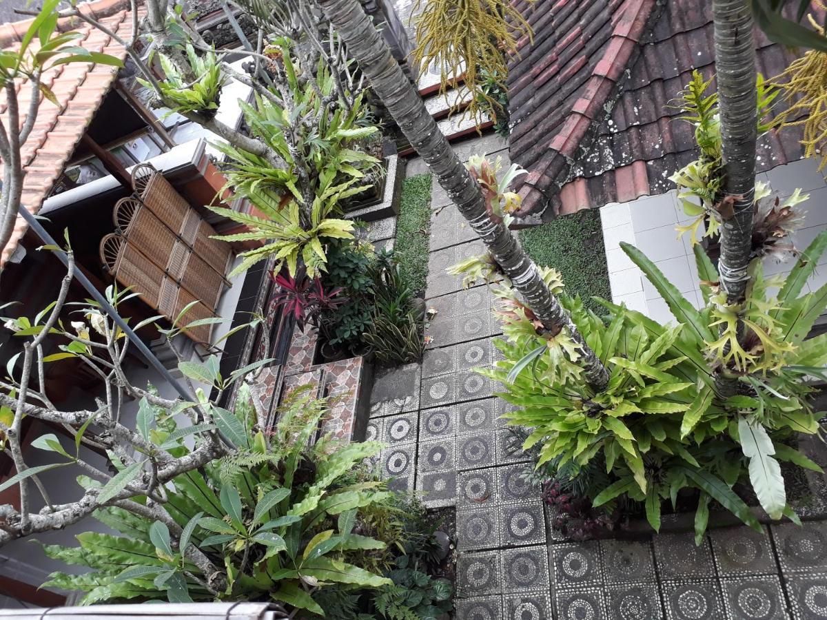 Nyoman House Ubud 部屋 写真
